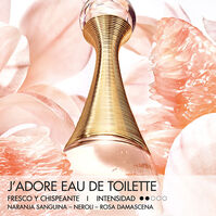 J'ADORE EDT  100ml-156717 J'ADORE EDT  100ml-156717 2